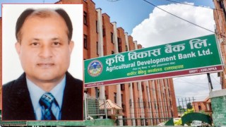 नेकपाका वरिष्ठ नेता नेपालका भतिजाले ‘ठूलो’ माछामार्ने, स्वास्थ्यको जस्तै काण्ड हुँदै