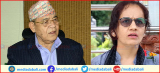 वामदेवभन्दा आफू सांसदका लागि योग्य भन्दै प्रधानमन्त्री कार्यालयमा निवेदन दिने युवती को हुन् ?