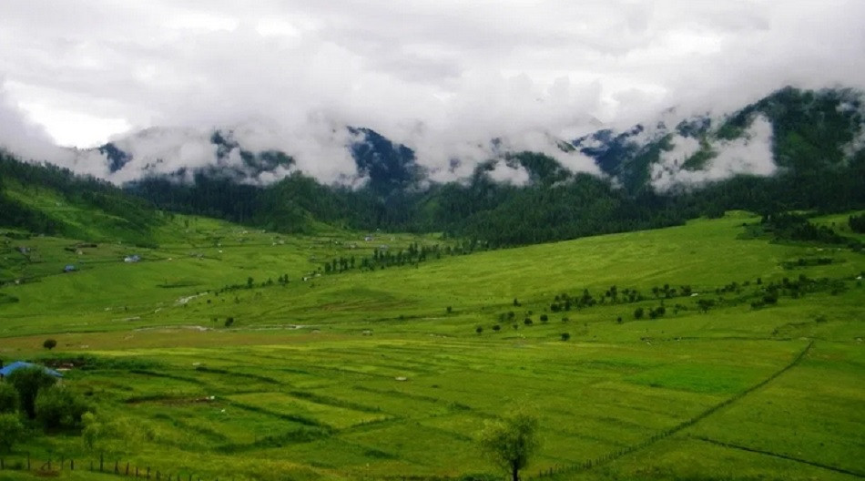 सुदूरपश्चिमकै बढी पशुबलि हुने क्षेत्र सिल