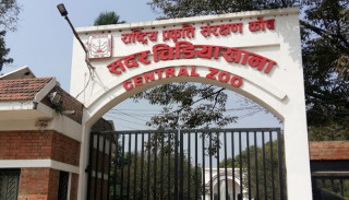 आजदेखि चिडियाखाना खुल्ने, यस्ता छन् नियमहरु !
