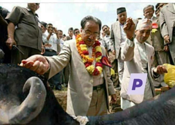 prachand.jpg
