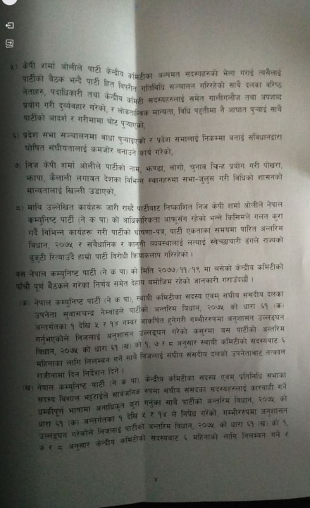 p4.jpg