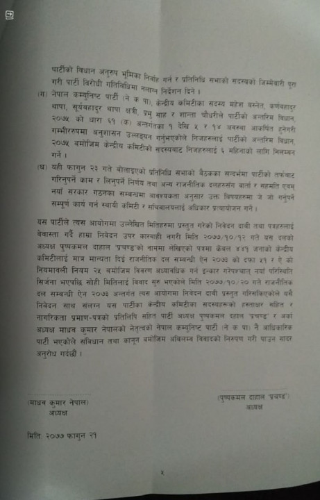 p5.jpg