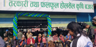 चाबहिल होलसेल तरकारी तथा फलफूल बजारको भव्य उद्घाटन