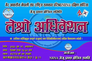 कोरियाको जेजु प्रान्तले माग्यो एनआरएनएको केन्द्रीय समितिमा उपाध्यक्षको कोटा