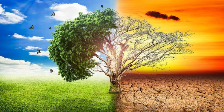 चीनको जलवायु प्रतिबद्धता संकटमा : कोइलाको बढ्दो निर्भरताले लक्ष्य चुक्ने सम्भावना