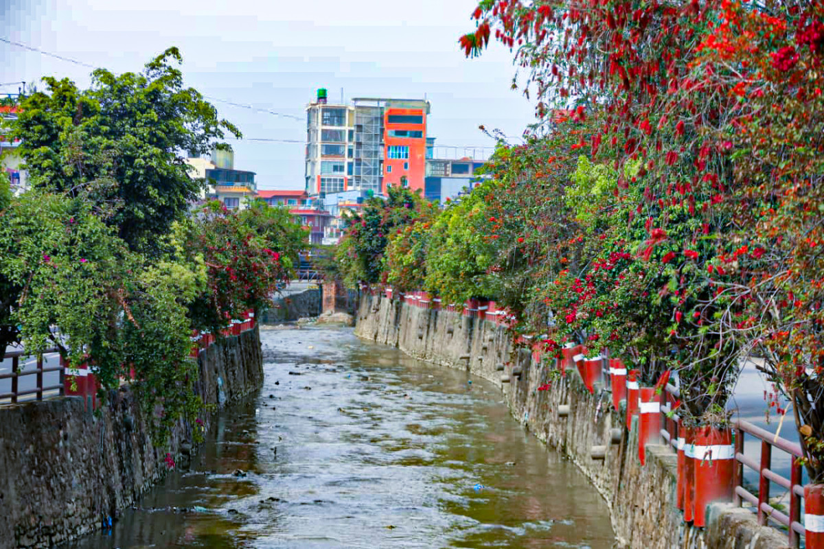 खोलाका किनारमा फुलेका ढकमक्क फूलहरू (तस्बिरसहित)