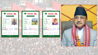 पुर्णवहादुर खड्काको जिल्लामा प्रभावशाली नेताहरुले गरे अध्यावधिक, म्याद थप्न माग